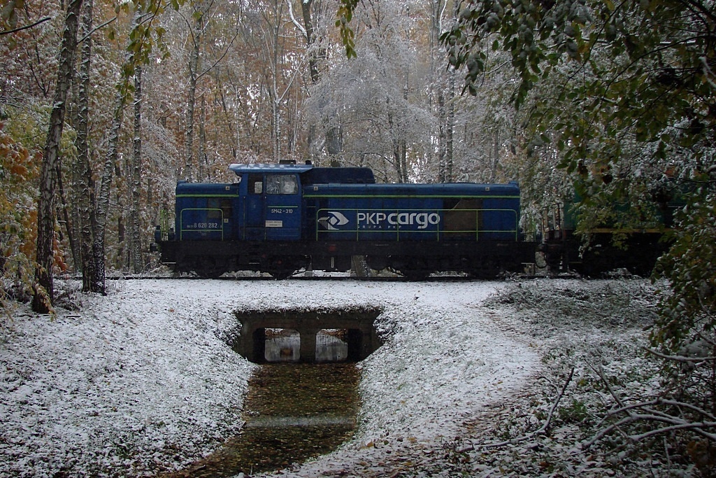 Spóźniłem się na jesień ...