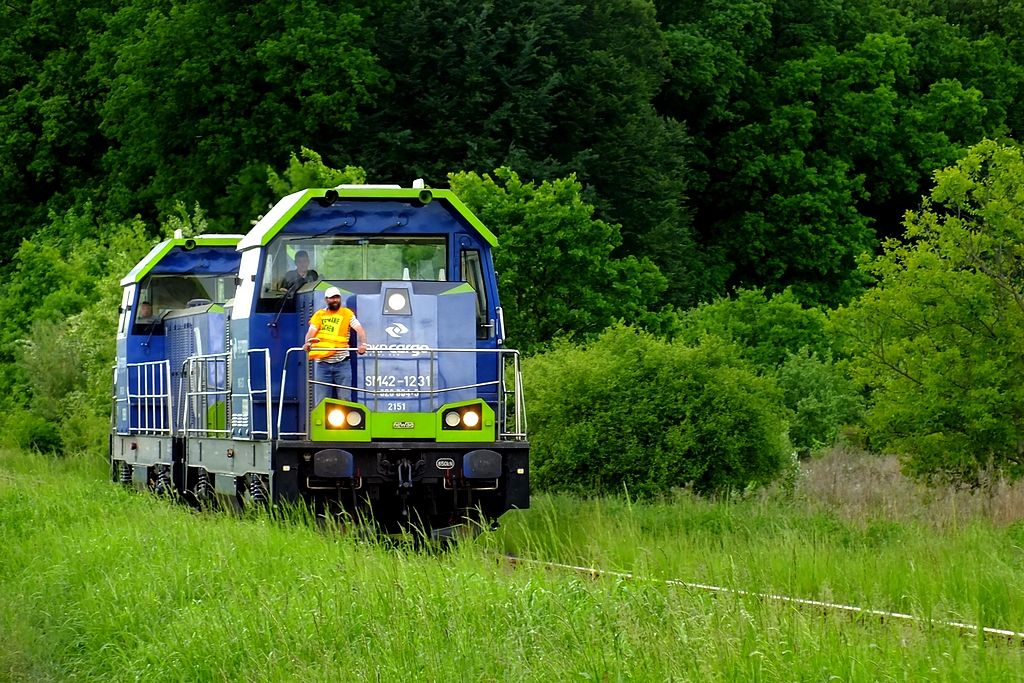 SM42-1231 i SM42-1239