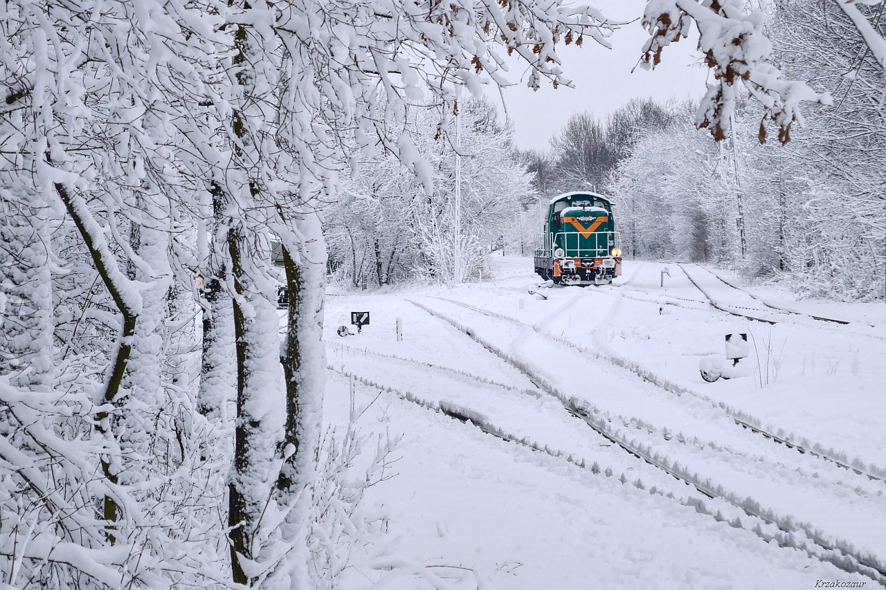 Takiej zimy się nie boimy