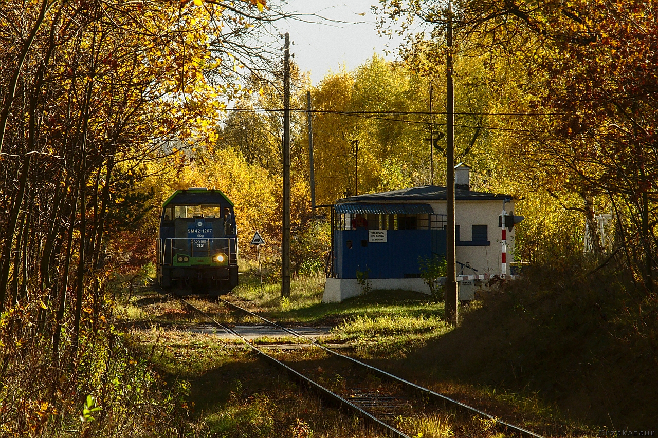 Nie wszystko złoto, co się świeci