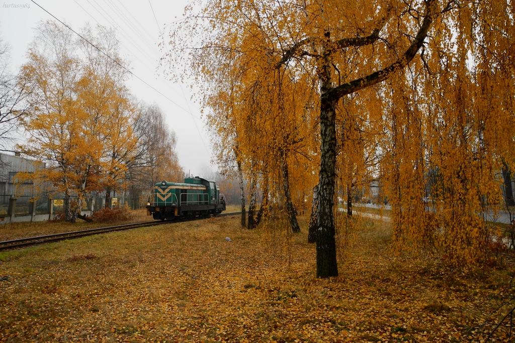 Wszyscy mają zieleń :D