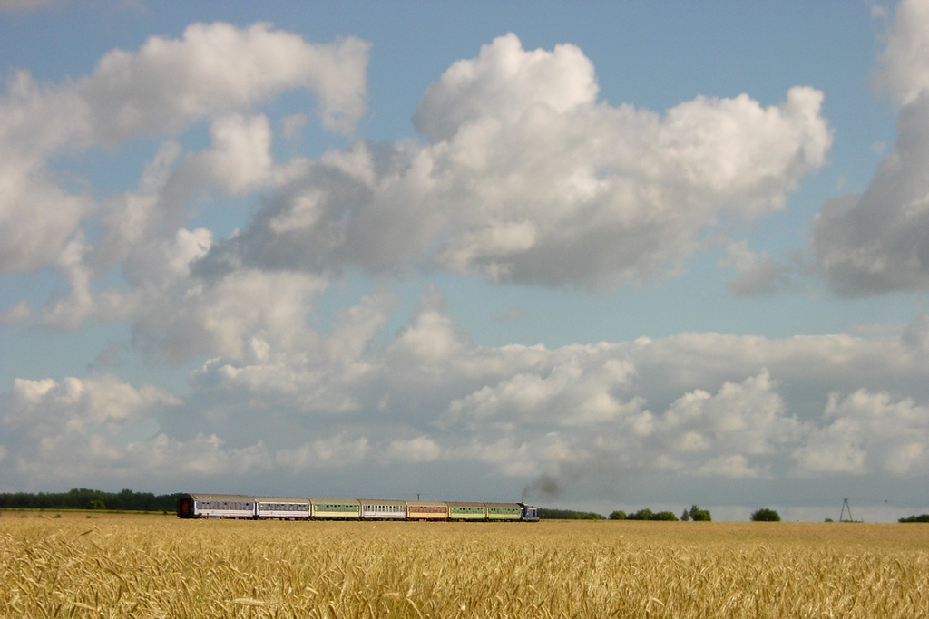 Jedzie sobie stonka po żółciutkiej trawie...