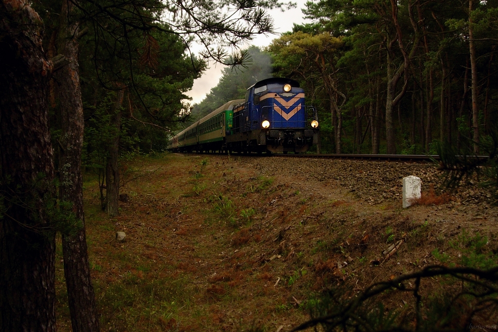 S-M-ka przez las gna...