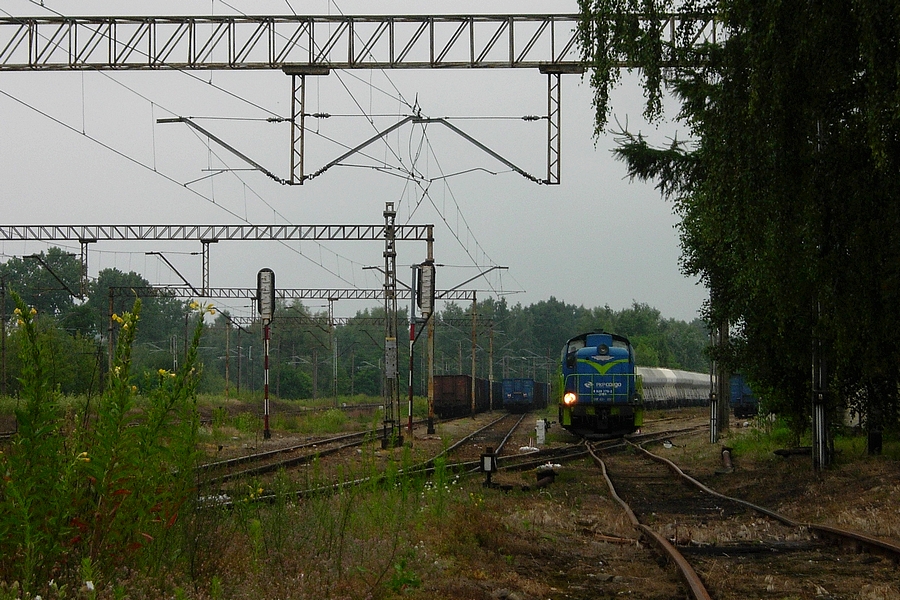 Stonka przyszła po gruszki:)