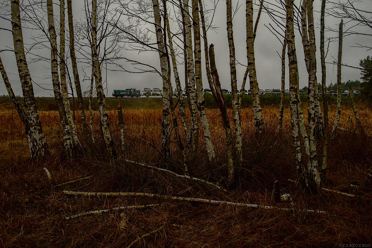 Zakończenie roku w krzakach