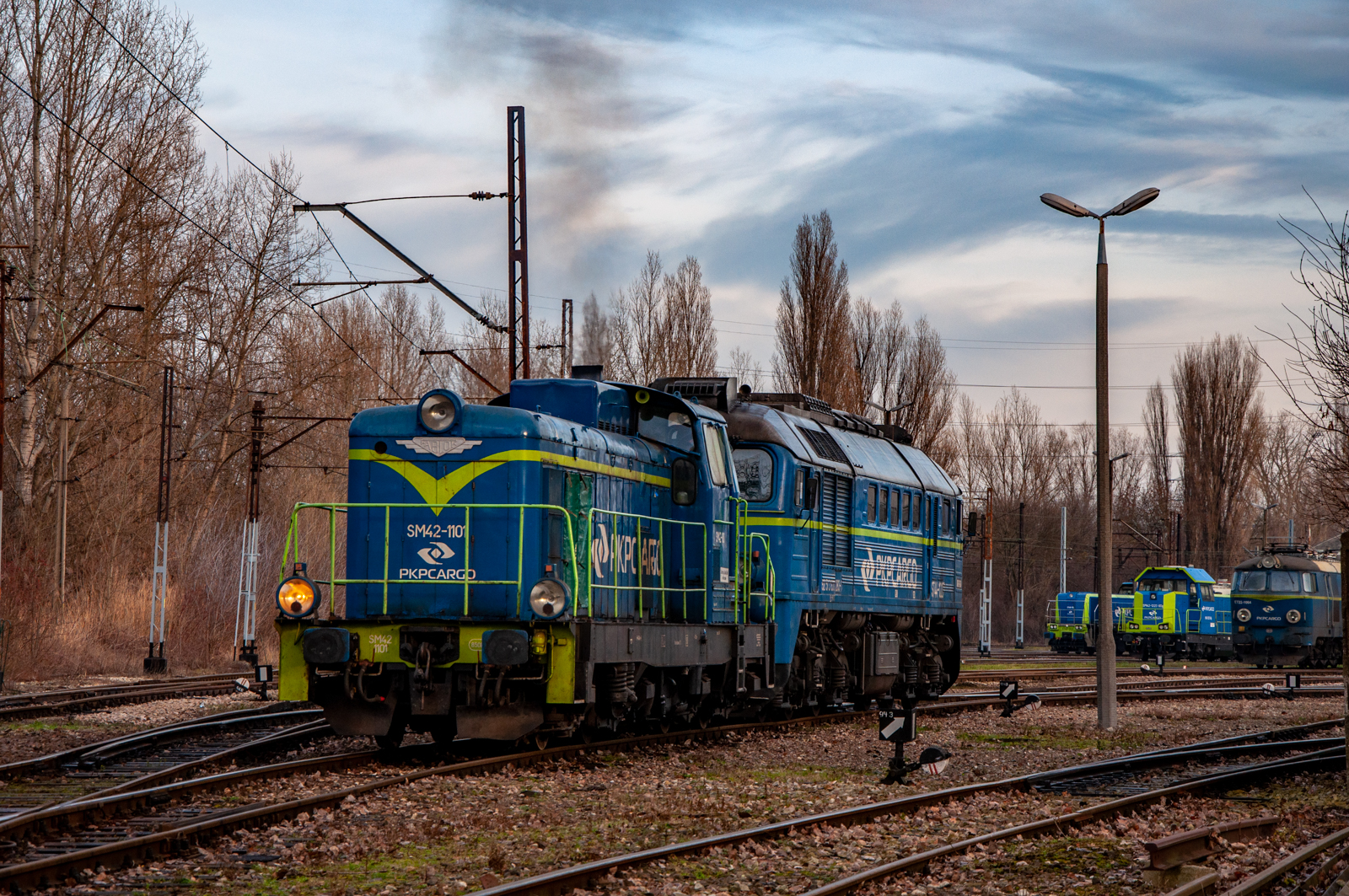 Manewry na Odolanach