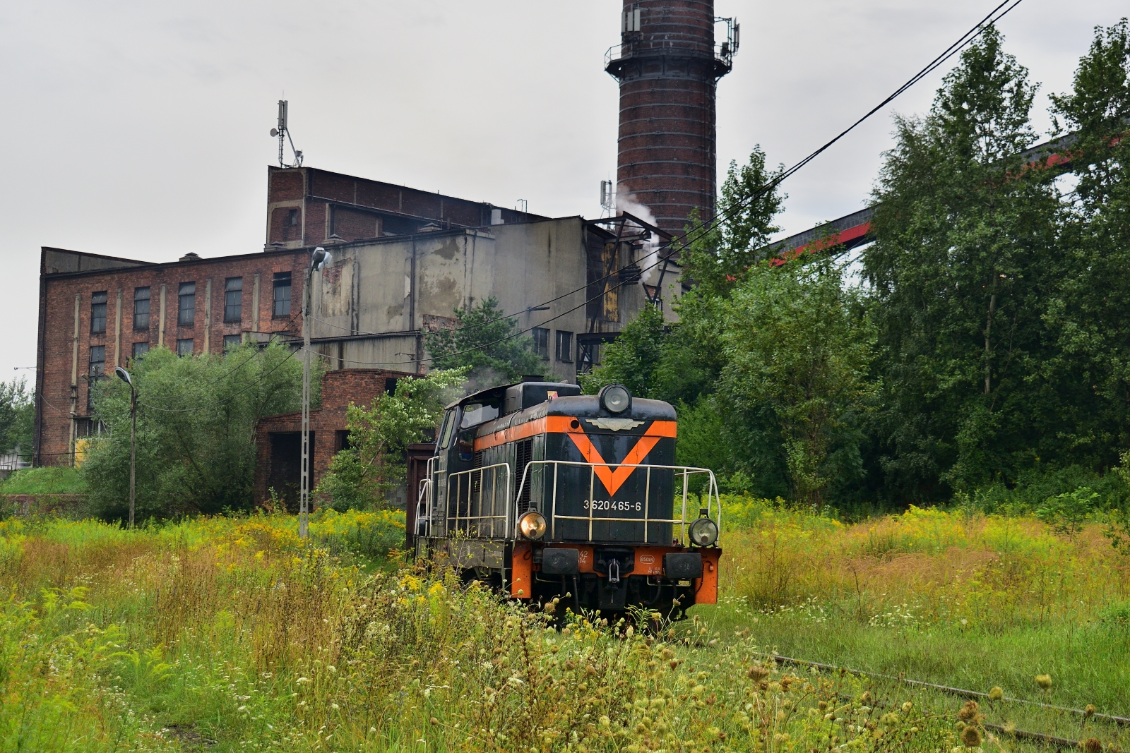 Jadwigowa codzienność