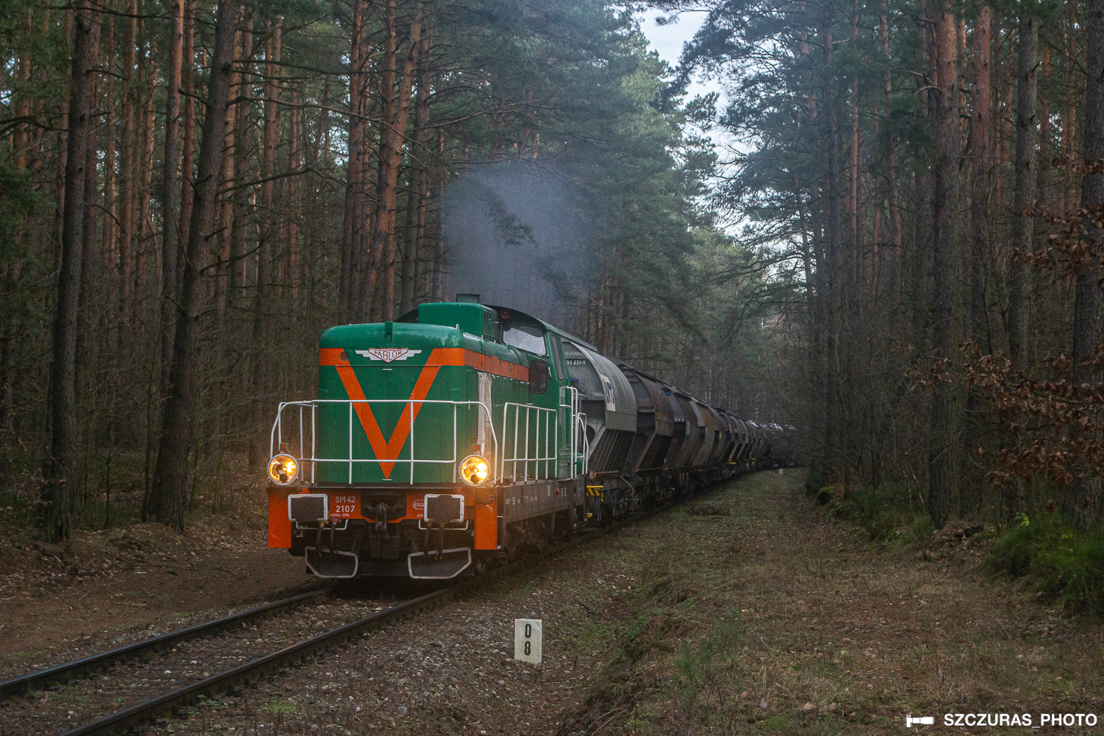 Grudzeń-Las i jego smaki