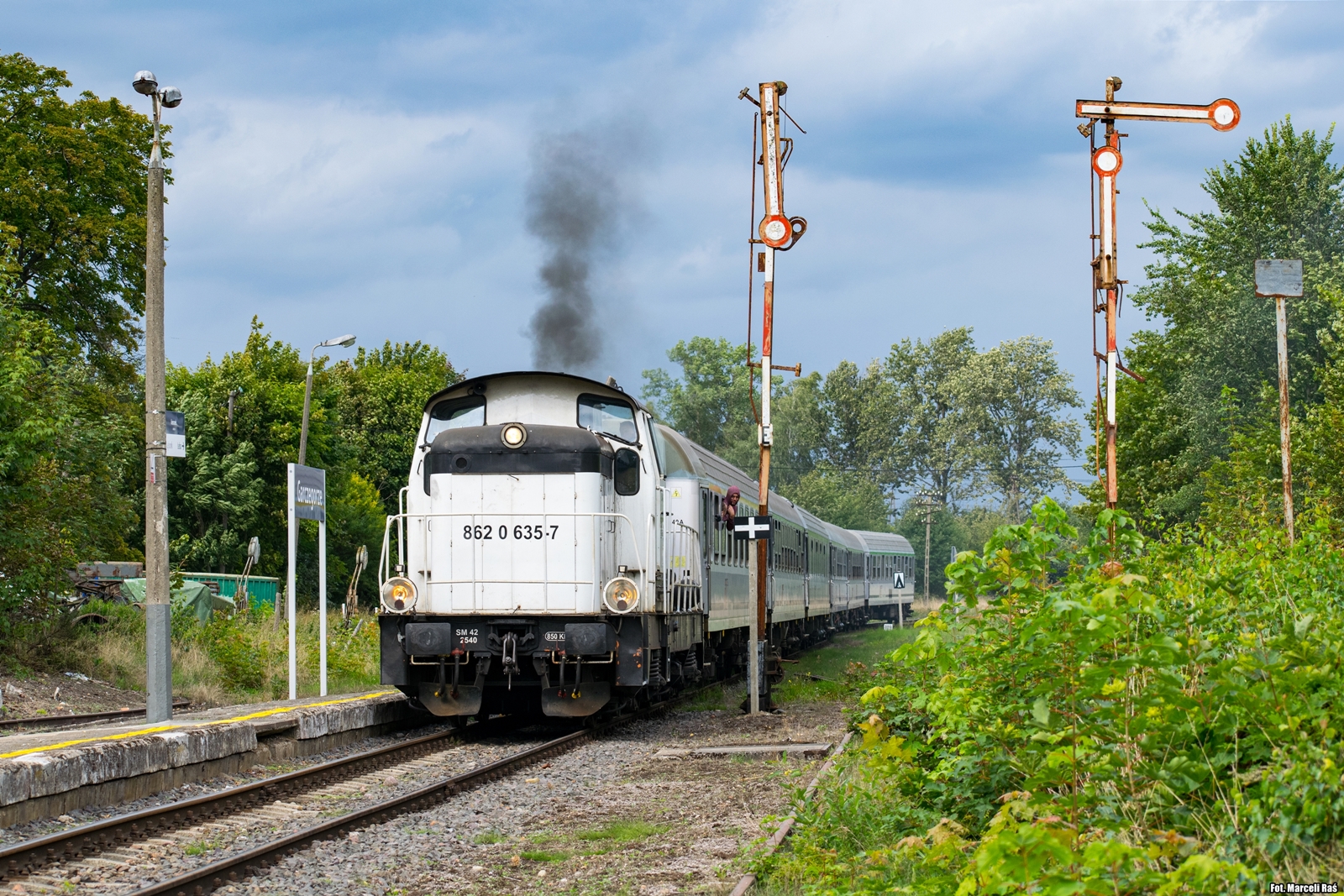 Delfin w Garczegorzach