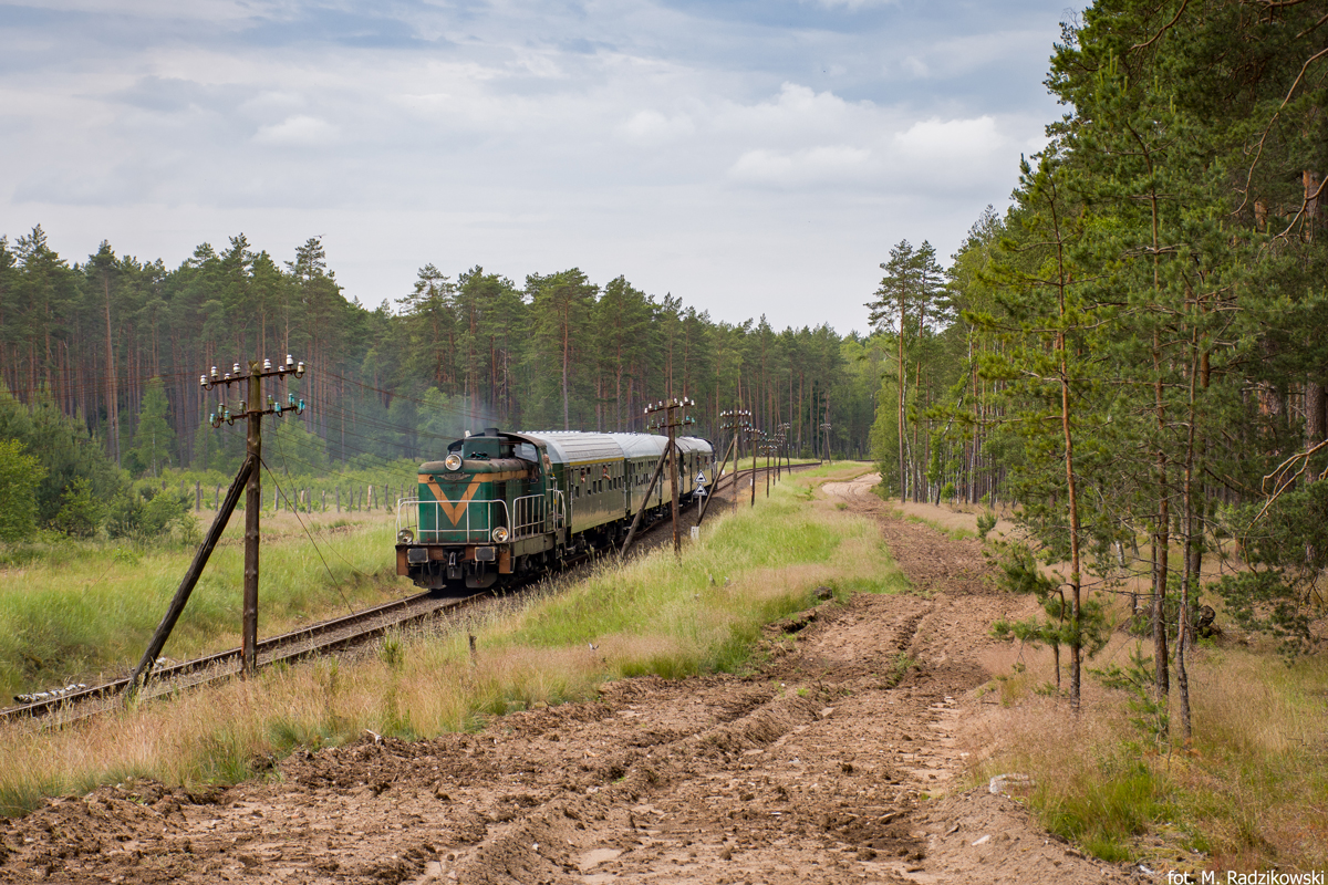 Jeleń pod Łubianą
