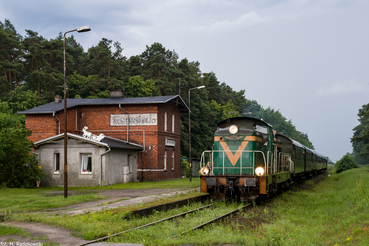 Pelikan w Kołaczkowie