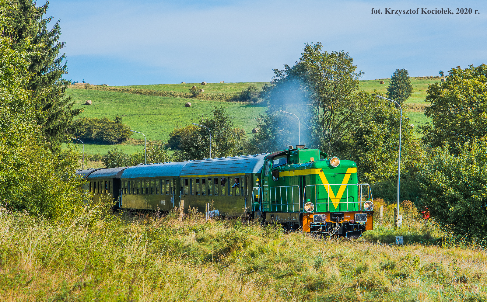 Dzik w Unisławiu Śląskim