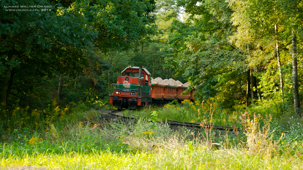 6Dg-39 Koleje Piaskowe