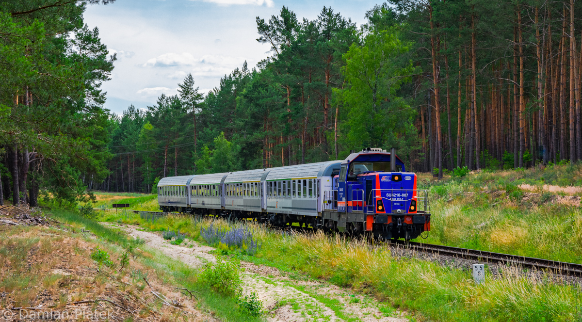 Paderewski w Trzebiszewie