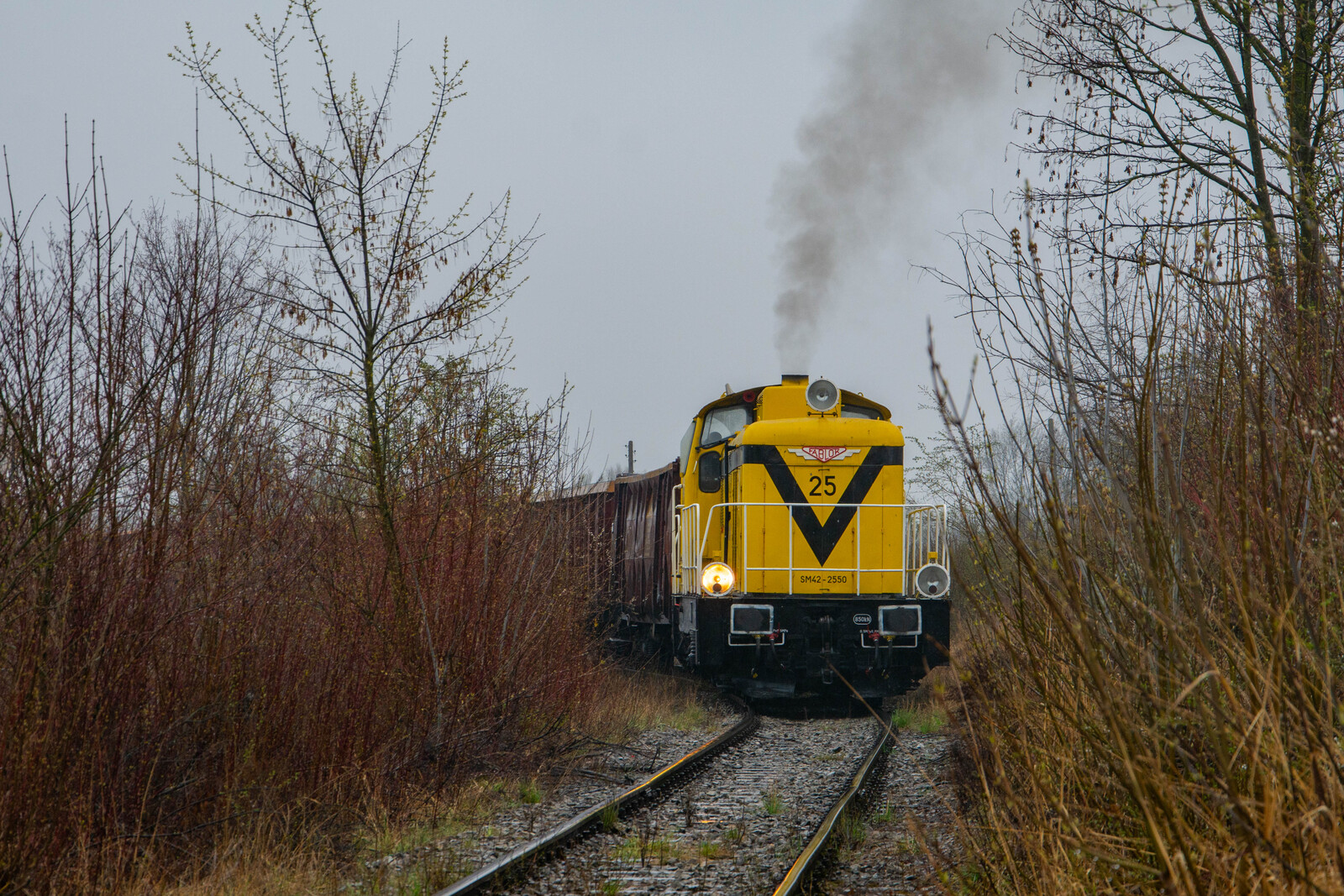 Zakładowa łajka w kwietniową pogode