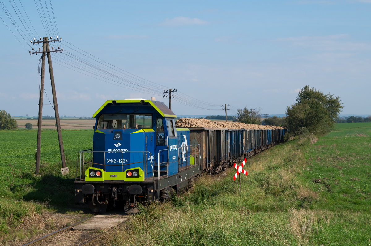 SM42-1224