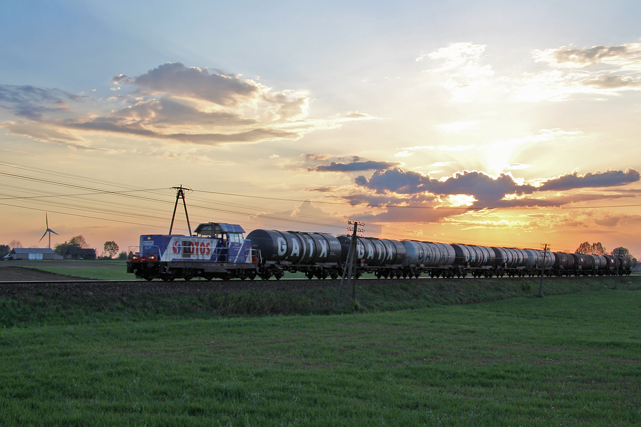 Lotos o zachodzie słońca