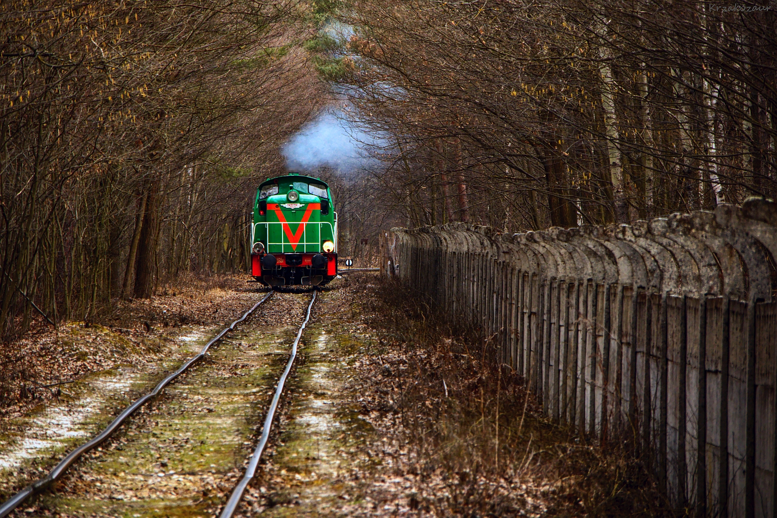 Pierwsze oznaki wiosny