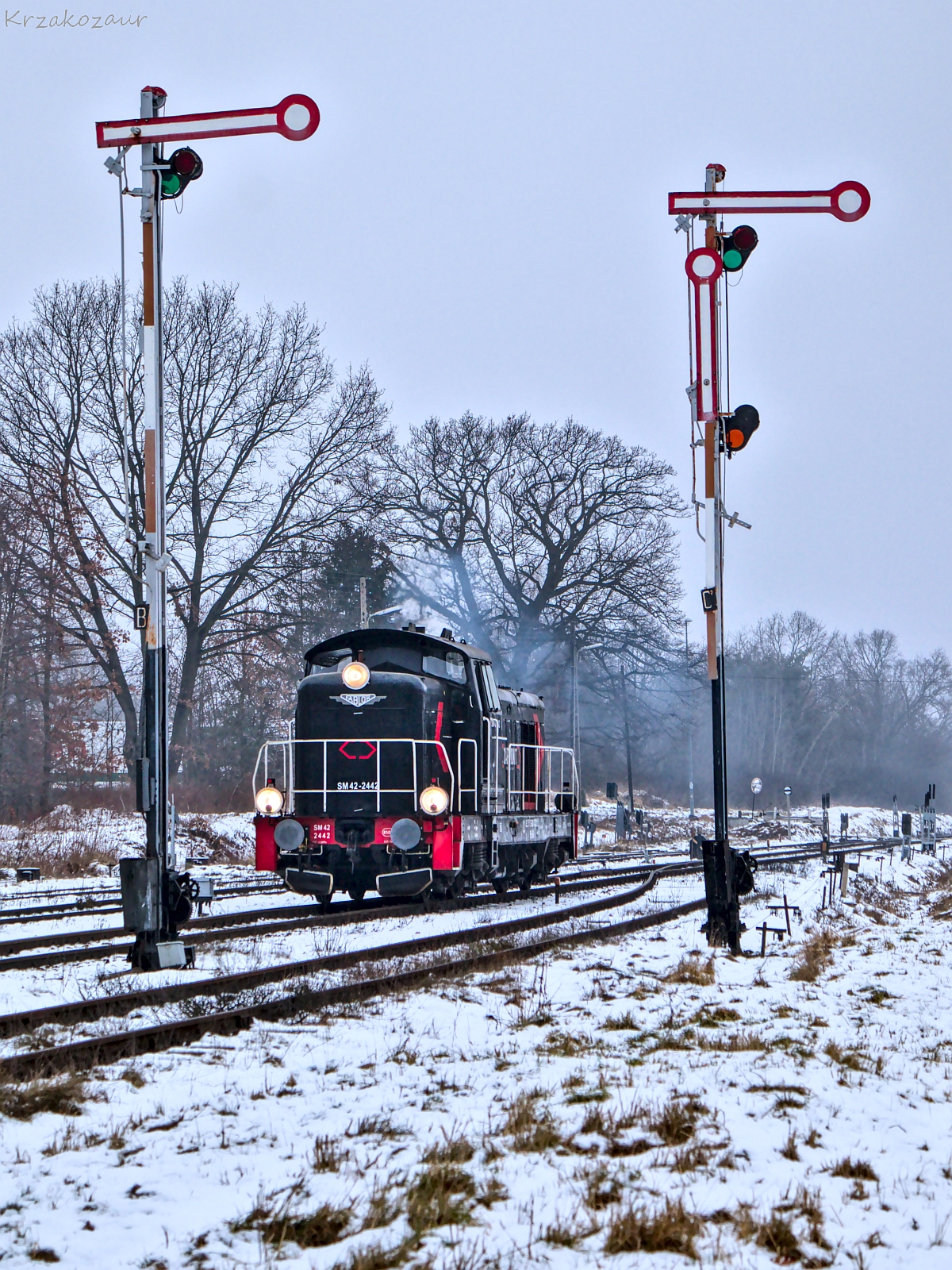 Piękne zakończenie roku