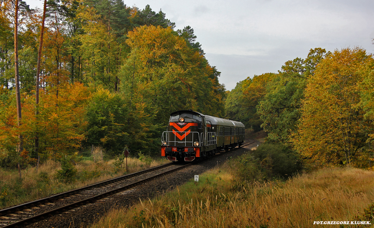 Oliwkowa jesień....