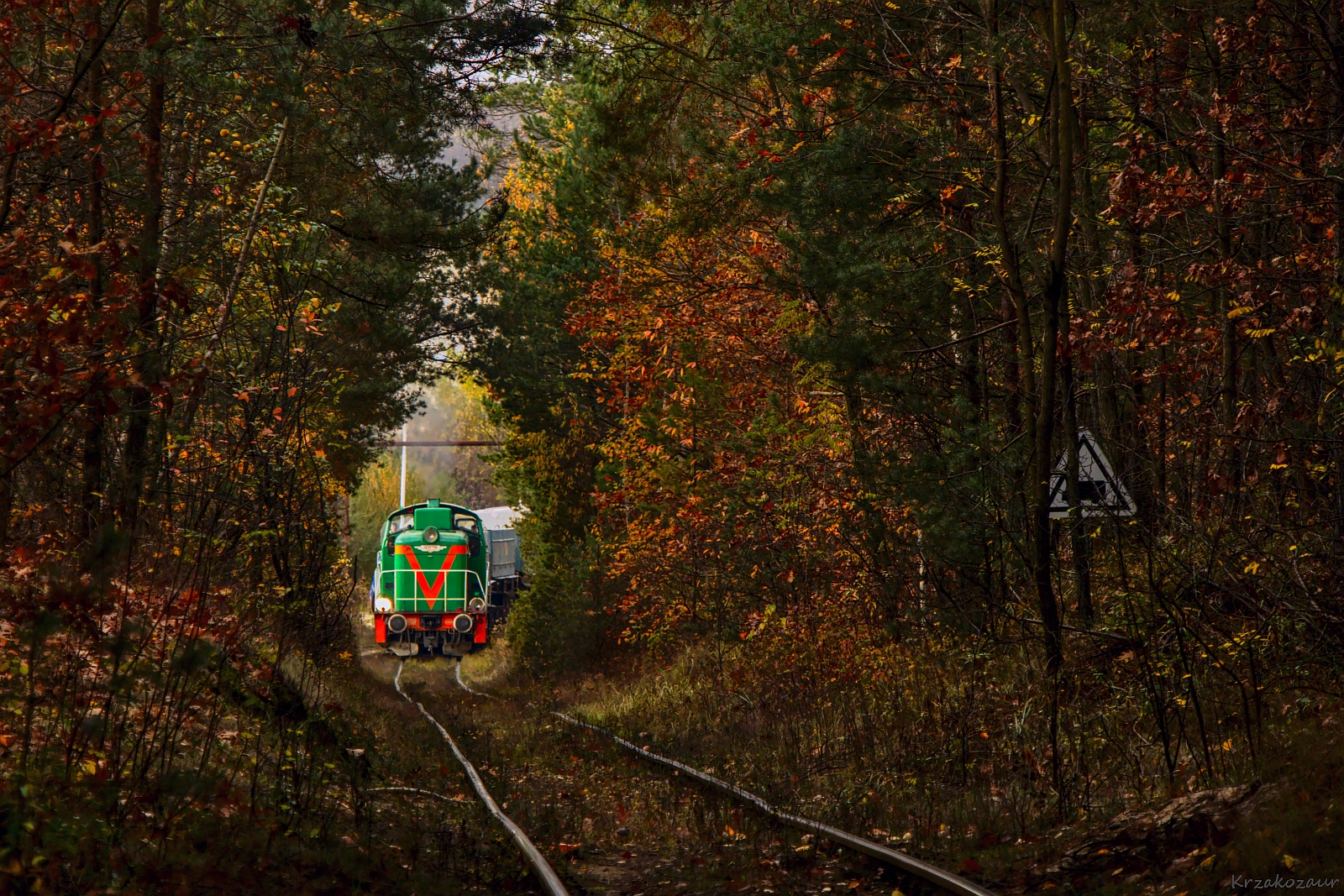 Obowiązkowy punkt programu