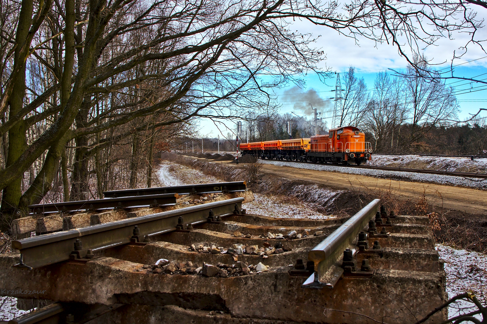 Krzakówka, szlakówka...