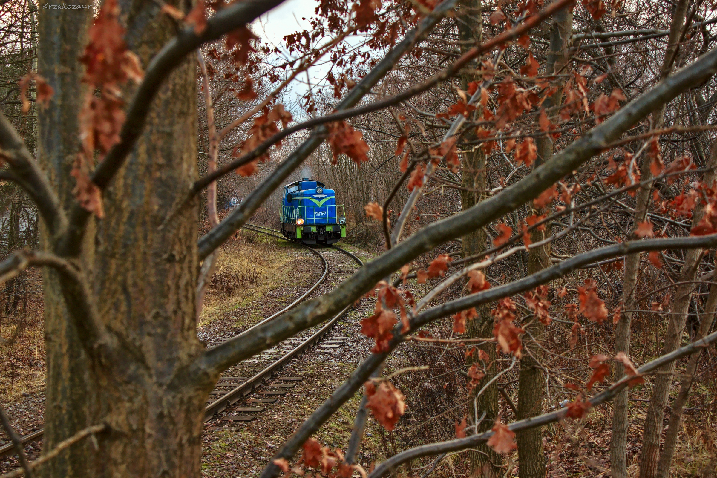 Czy to pasja czy wypalenie?