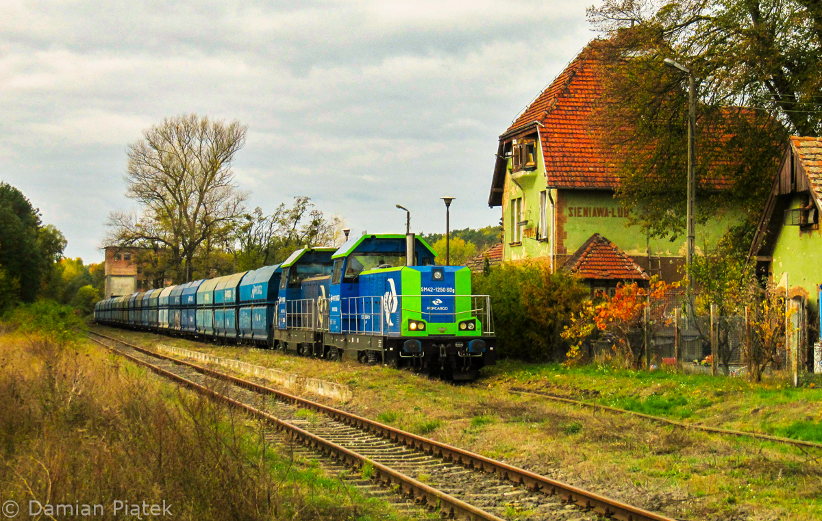 Manewry w Sieniawie Lubuskiej