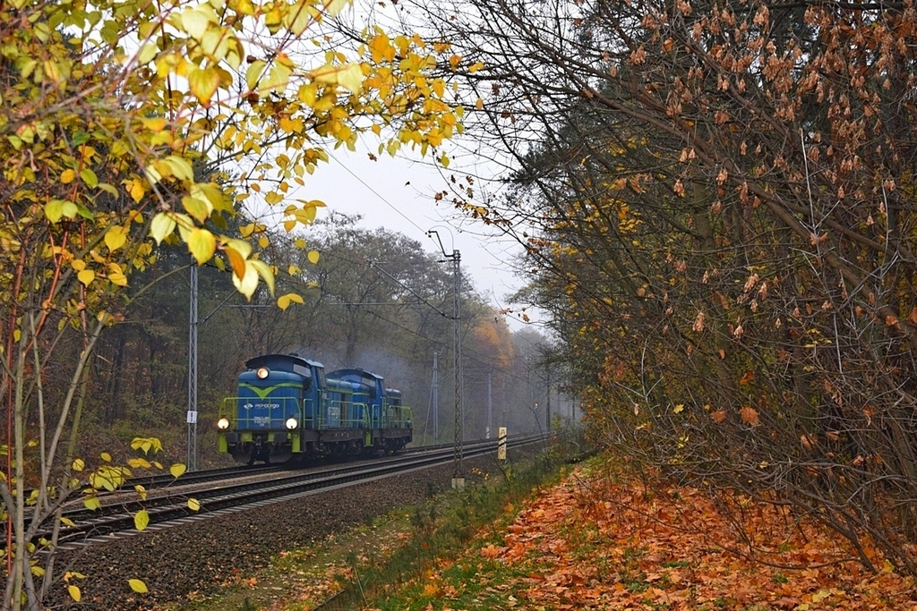 Nadszedł listopad, jesienny liść opadł...