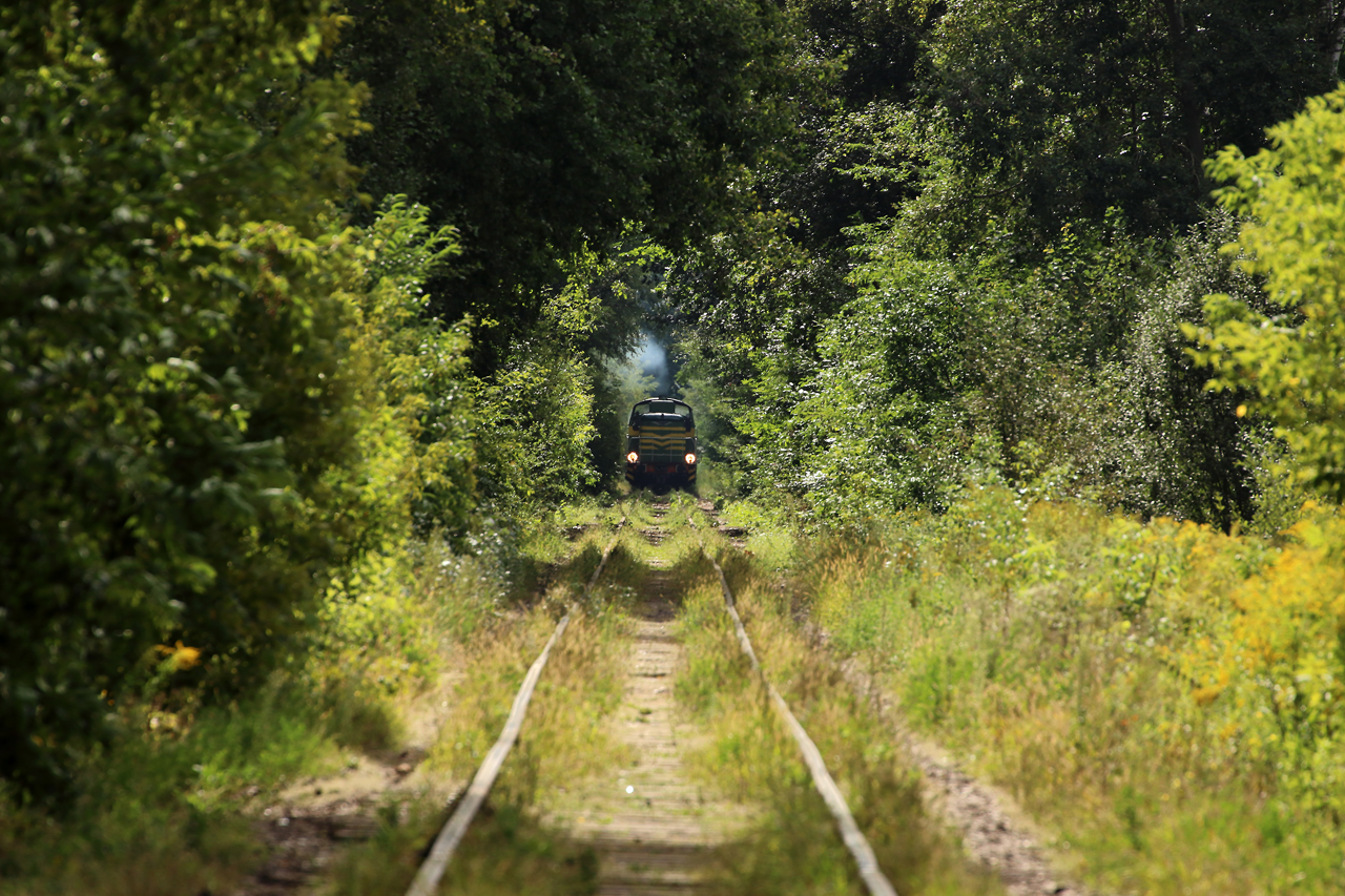 Dawno mnie tam nie było ... zaczyna pachnieć jesienią ...