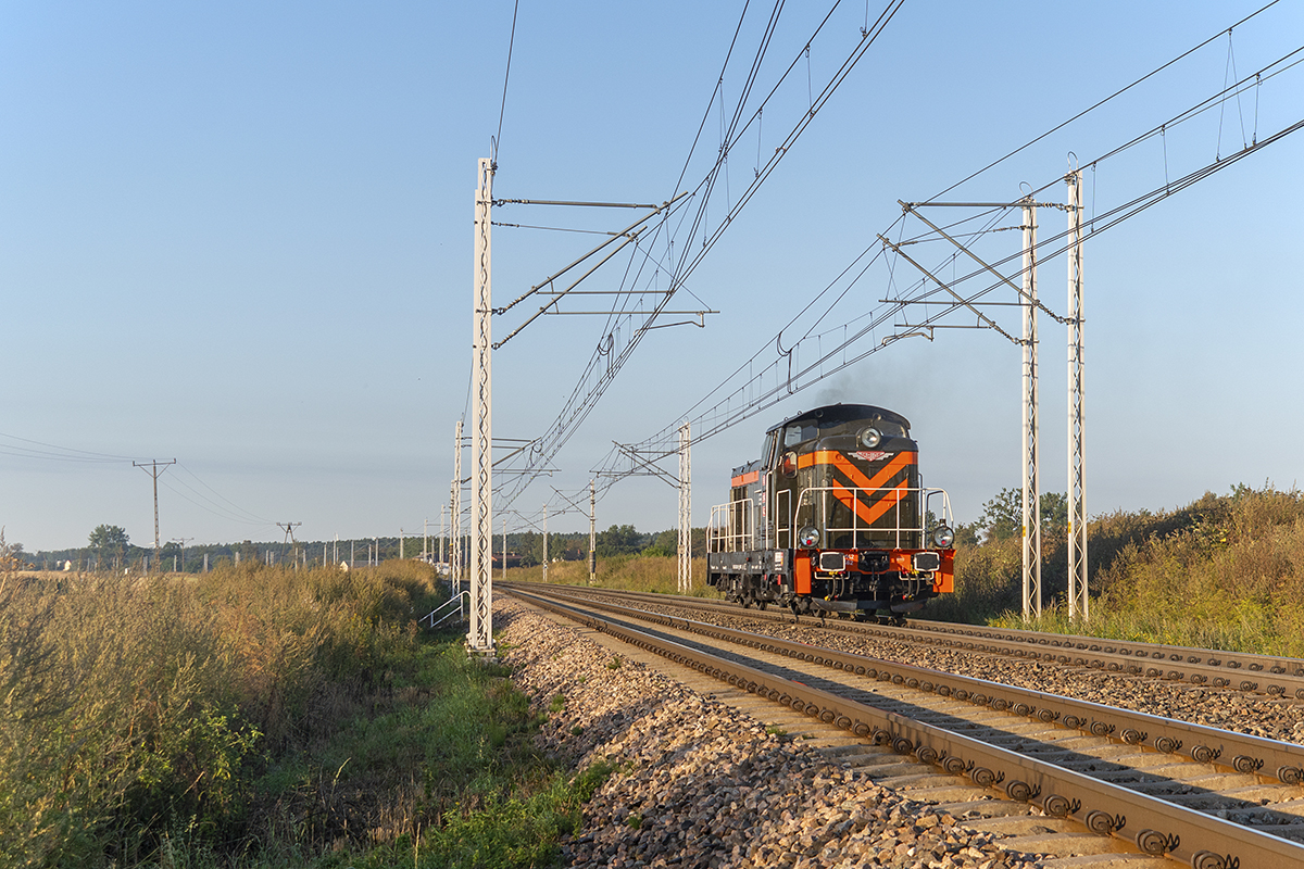 Wczesnym rankiem stonka