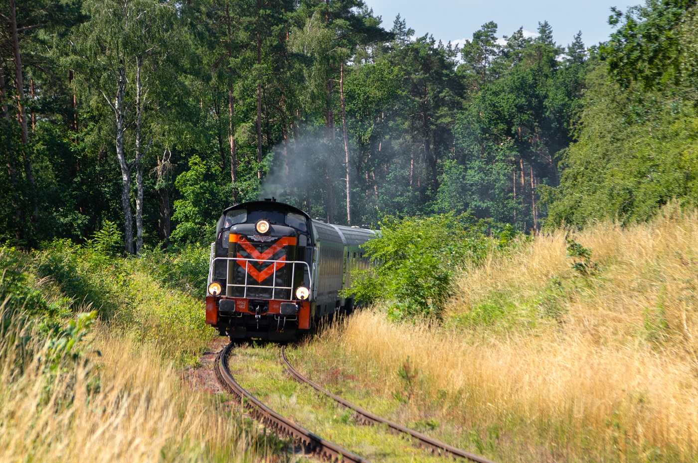 Oliwka na Swarożycu