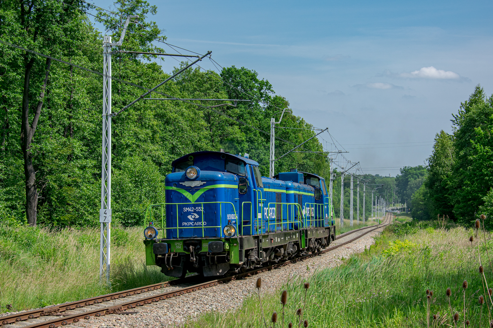 Stonki na tle siodła