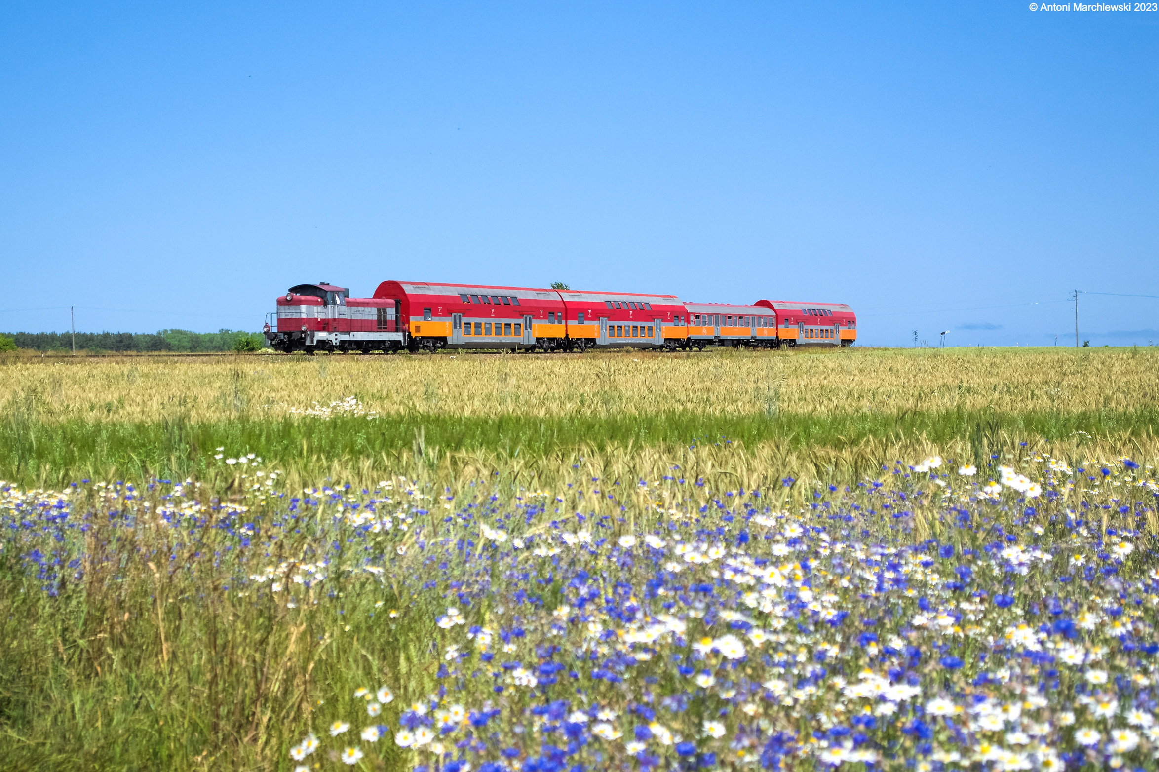 Strażak niezapominajka