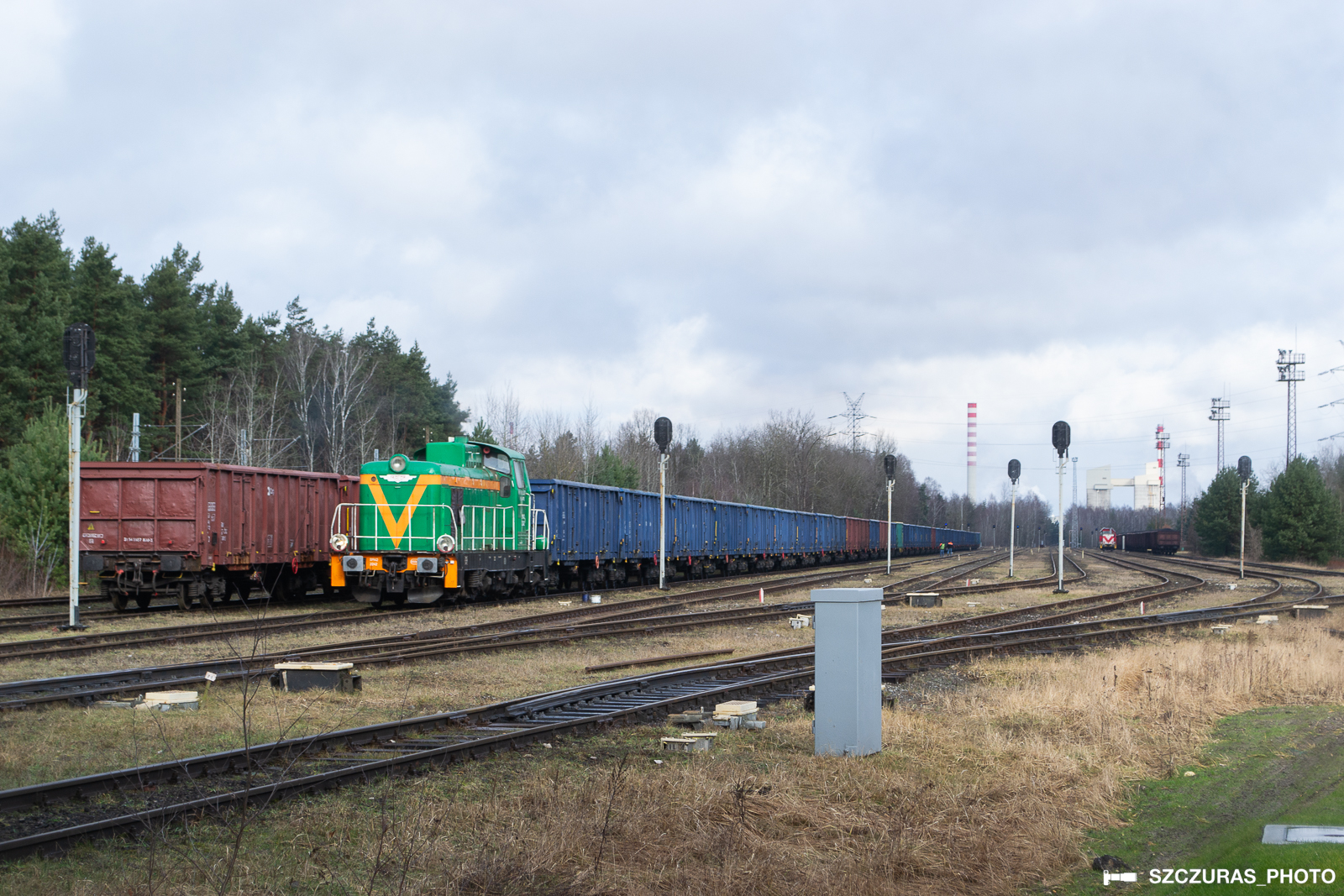 W zastępstwie za Tamarę.