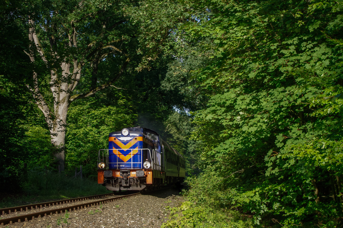 Ostatni Lubomirski tego lata