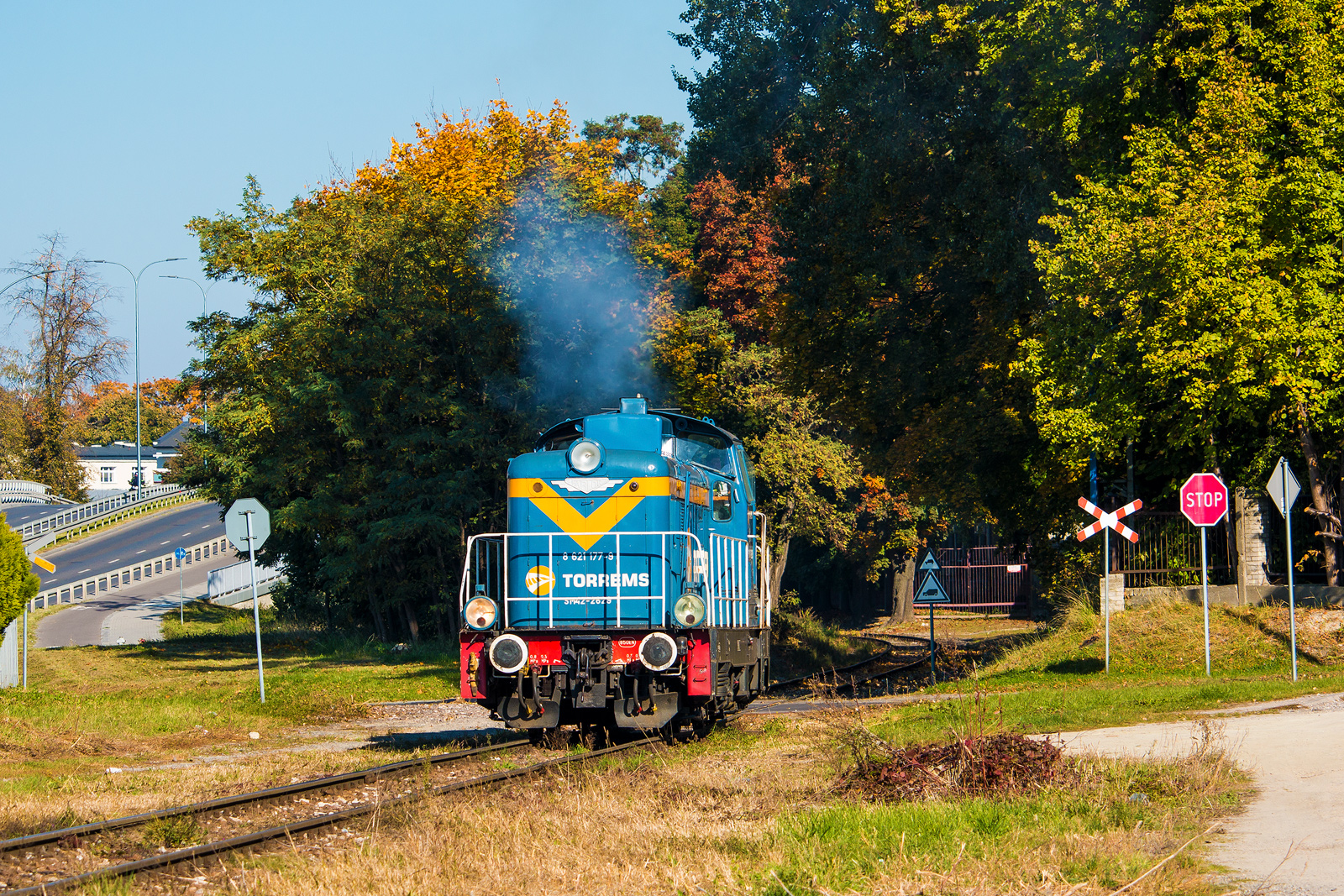 Niecodzienny gość na Wrotkowie