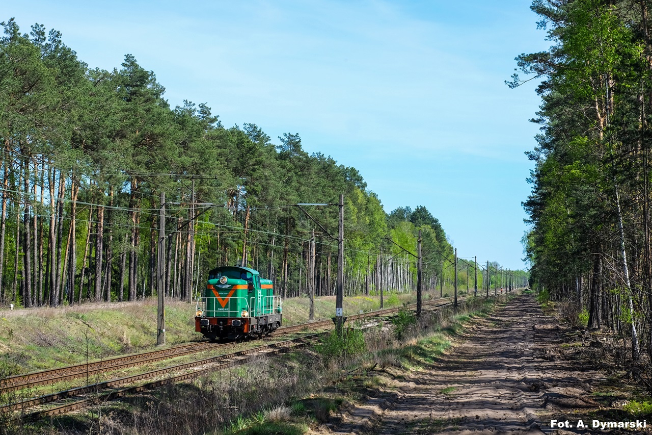 Zielono po raz kolejny