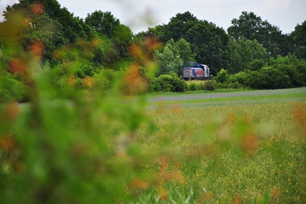 Wyłuskana z zieleni