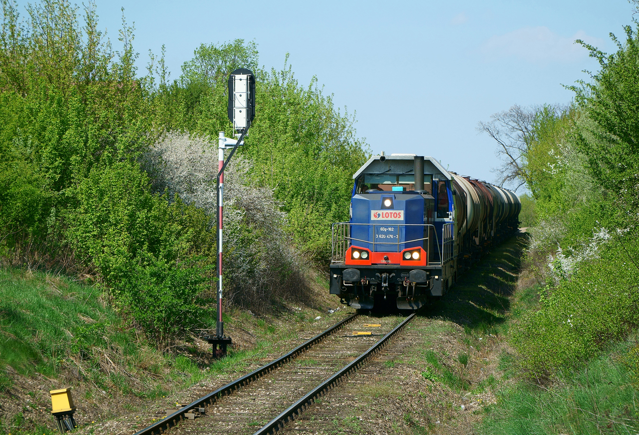 Wiosenne robactwo ...