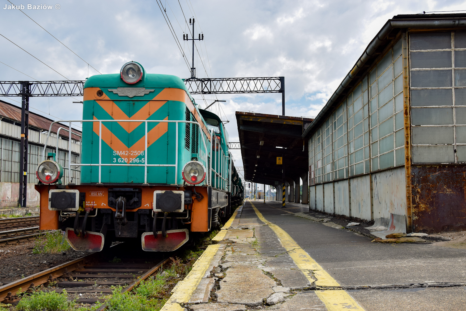 Lato, czyli sezon stonek