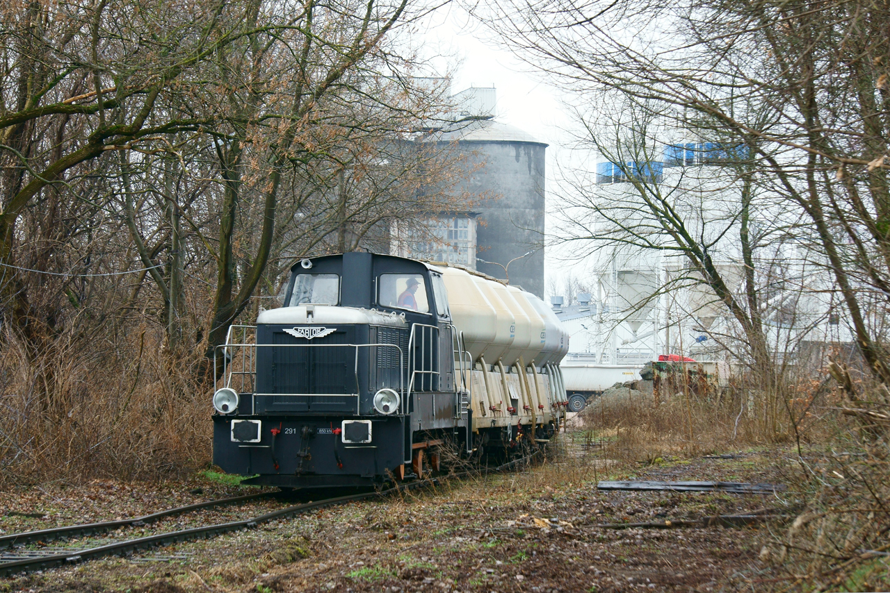 Kaczka z nad Kanału Żerańskiego