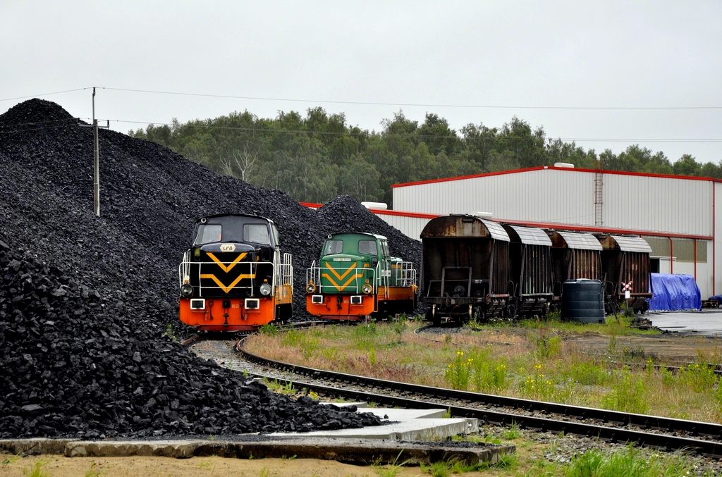 Odpoczywające Kaczki