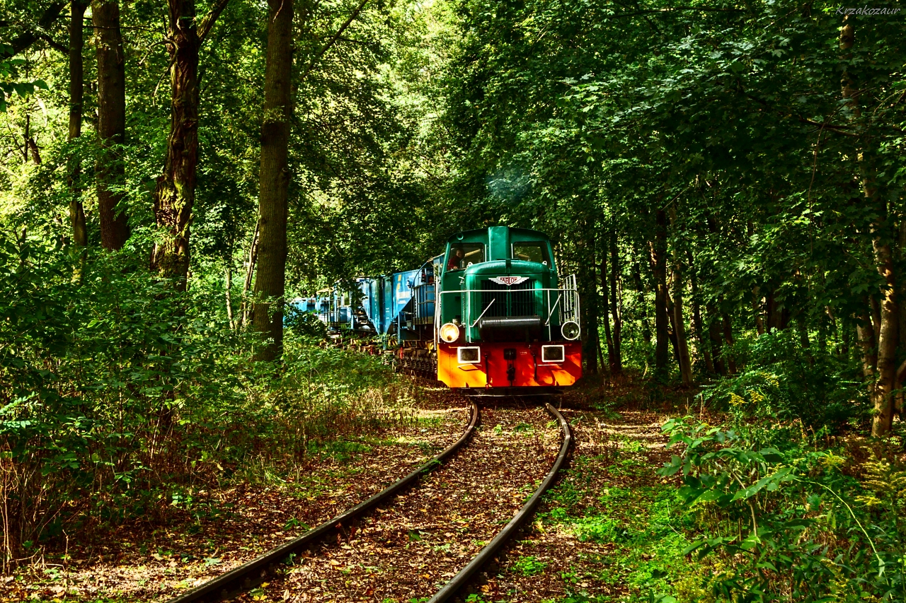 Niesamowite spotkanie