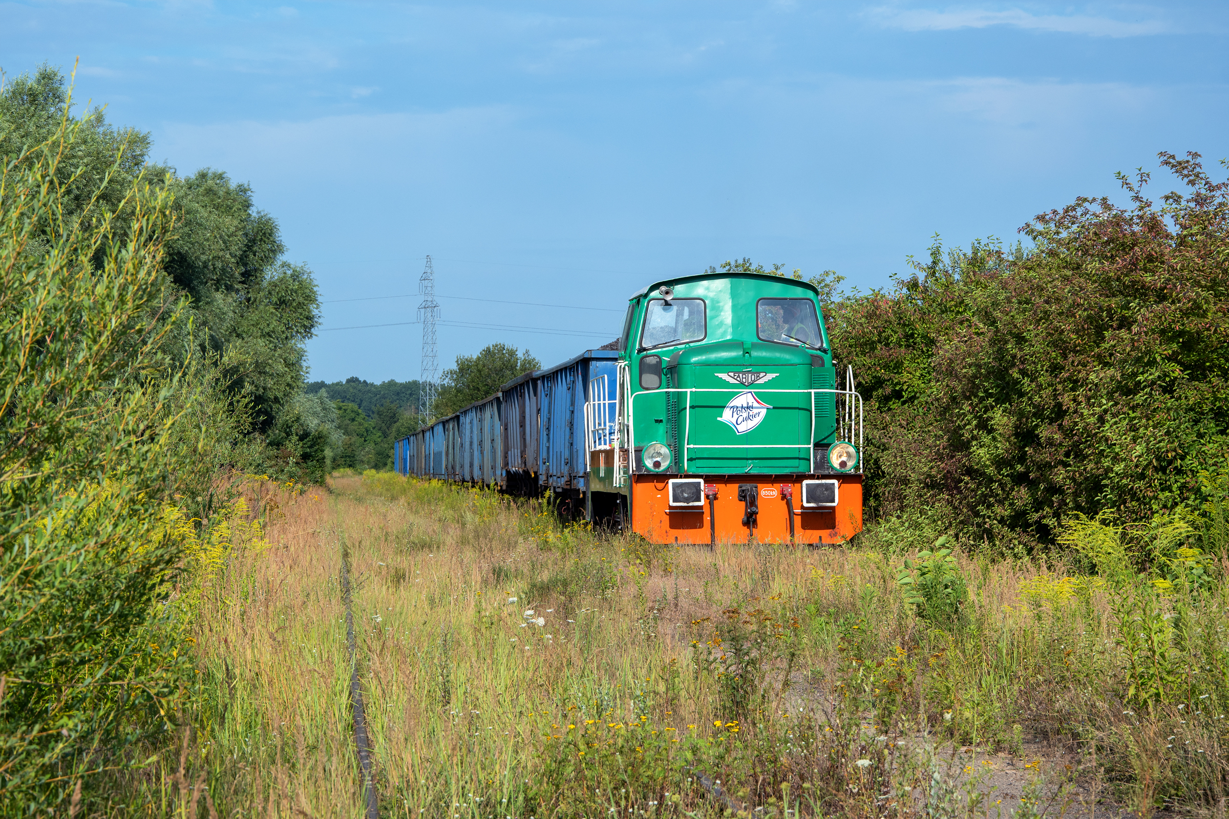 Brodząc wśród traw