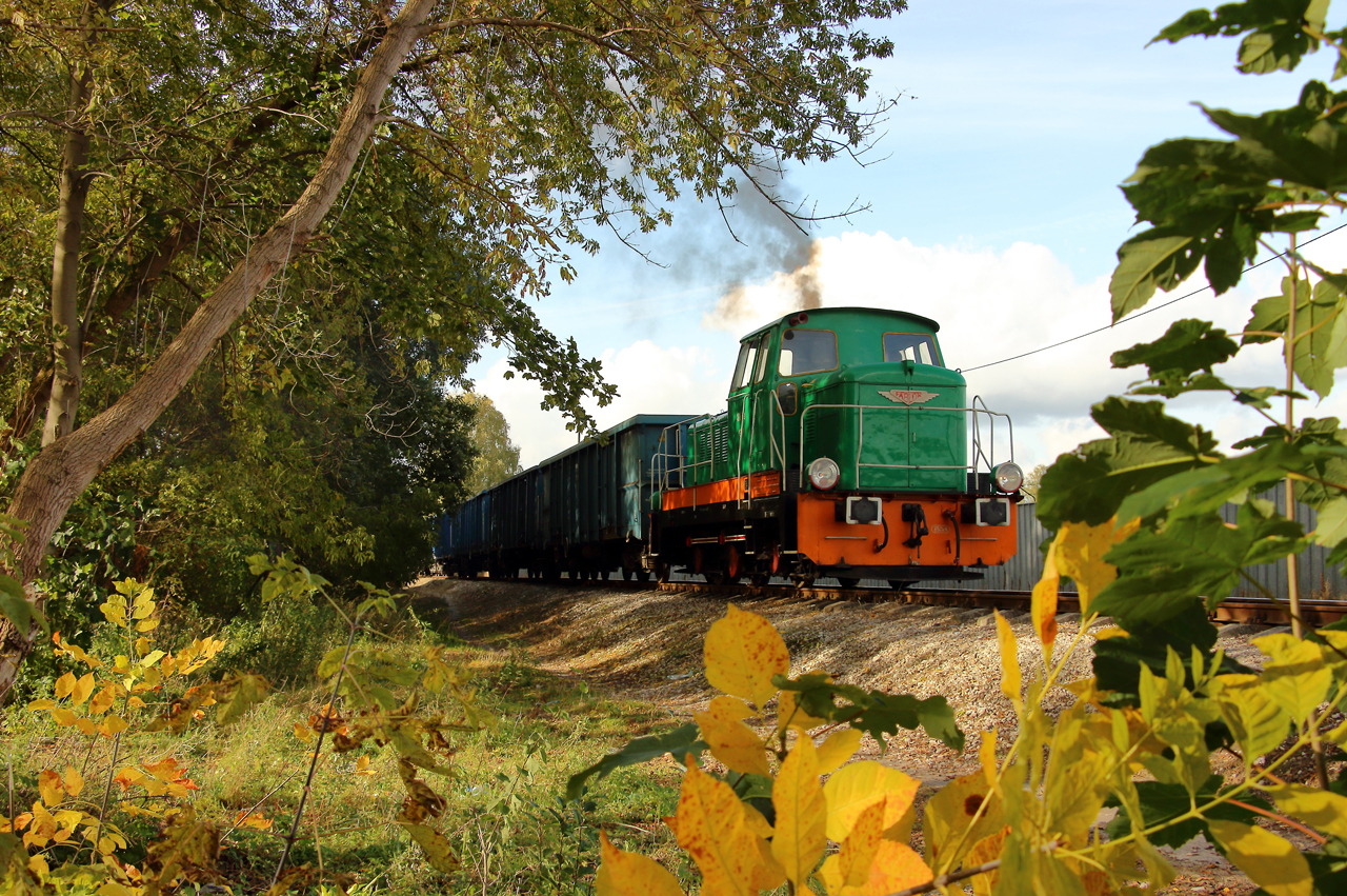 Kaczka z za krzaczka ... :)