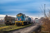 RCT na kukurydzy w Prudniku