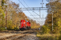 Tamarą po obwodnicy