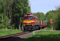 Rail Polska z Dębna
