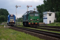 Krzyżowanie w Giżycku